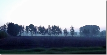 DSC05433 DSC05433