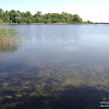 dsc02981.jpg