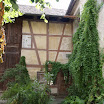 Wodospad na Renie i Stein am Rhein (205).jpg