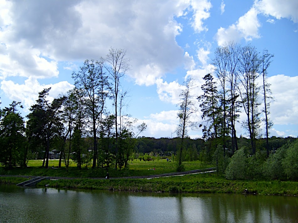 S7000049.JPG