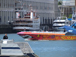 IMG_1552.jpg