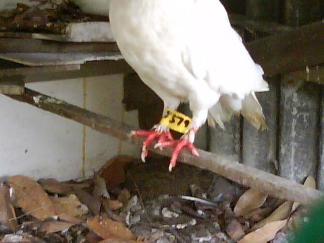 [DSC02629%255B4%255D.jpg]