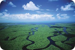 everglades_panorama_aereo