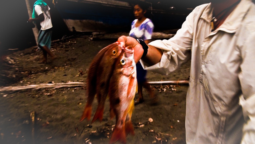 [fish%255B10%255D.jpg]