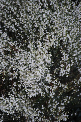 [DSC_0296%255B2%255D.jpg]