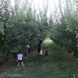 IMG_8658.JPG