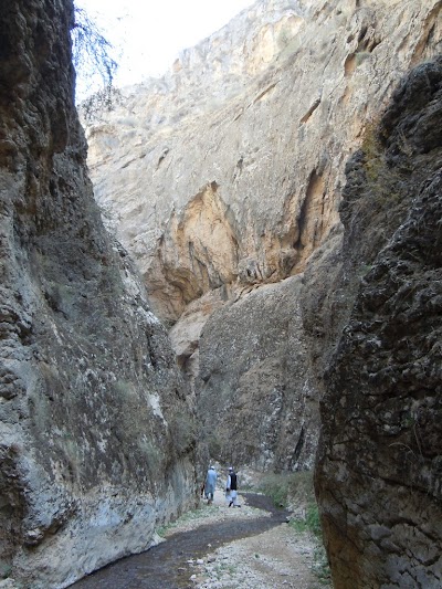 DSCN3985.jpg
