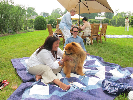 You know, you can pet me all you want, but would you please just tell us where the food is?