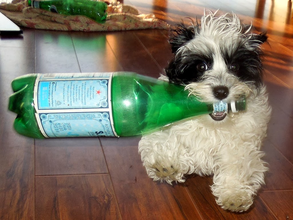 [DSCN9182%255B3%255D.jpg]