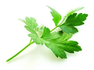 [parsley%255B4%255D.jpg]