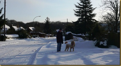 snow again9