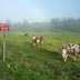 2011.08.18.-19. - Spodnje bohinjske gore