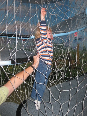 [IMG_7708%255B3%255D.jpg]