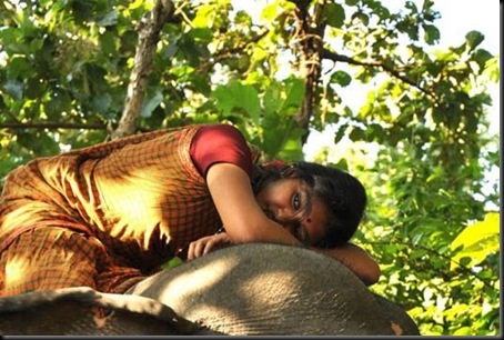 Actress Lakshmi Menon in Kumki Latest Stills