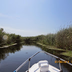 IMG_5721.JPG