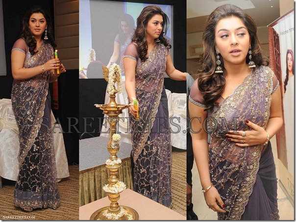 Hansika_Embroidery_Saree