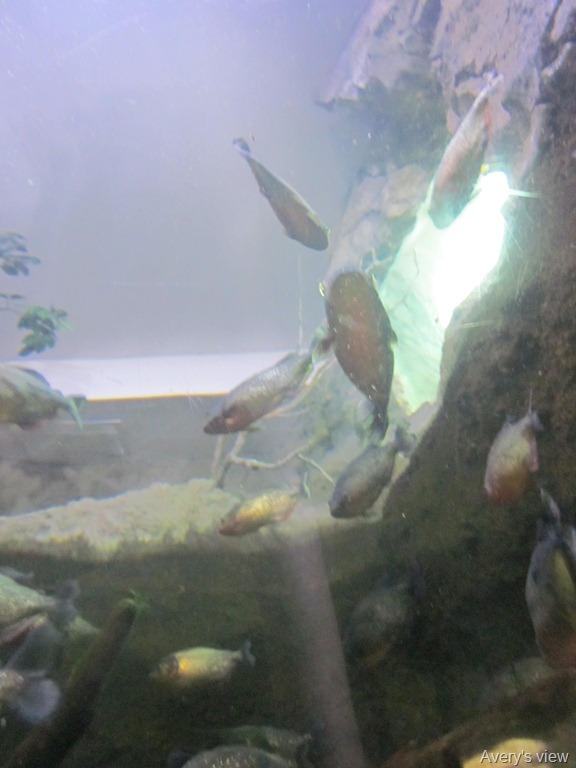 [2011-08-30%2520094%255B6%255D.jpg]