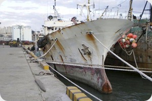 barcos pesqueros