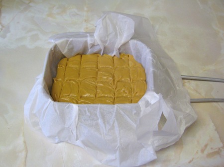 IMG_4440 IMG_4440
