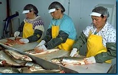 fish processing