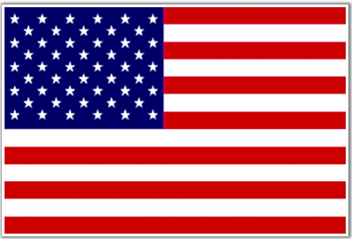 [unitedstatesflag2.gif]