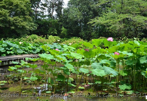 Glória Ishizaka -   Kyoto Botanical Garden 2012 - 99