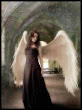 Heaven Of Mysterious Angel