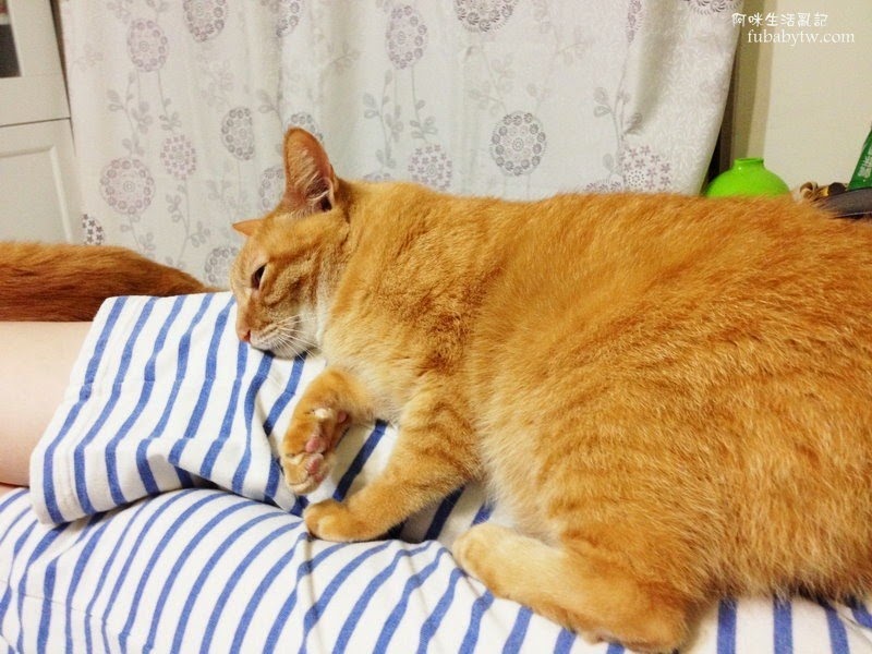 調整大小IMG_5360 調整大小IMG_5360