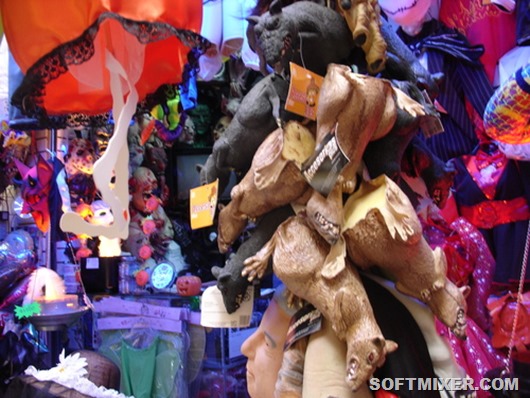 -visit_to_Mercado_de_Sonor-20000000002112008-500x375 -visit_to_Mercado_de_Sonor-20000000002112008-500x375