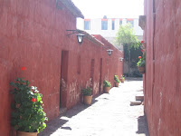 IMG_0035.jpg