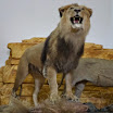 SAM_0514.JPG
