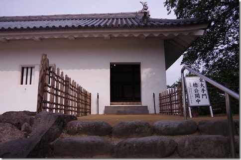 IMGP3780 IMGP3780