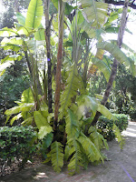 P5280743.JPG