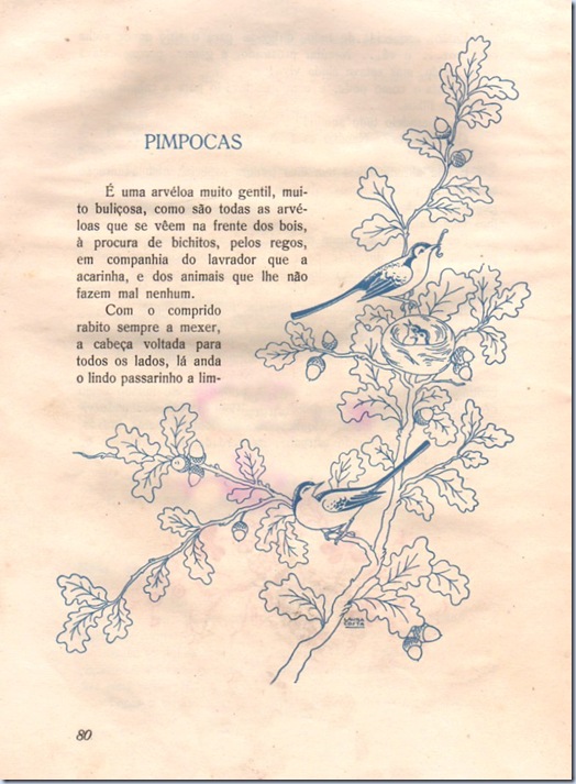 coracao_pequenino_05