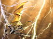 3d Battle Dragon