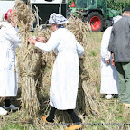 graanoogst-09-050.jpg