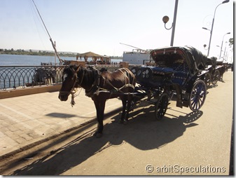 The horse carriage.. The horse carriage..