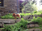 I could bask in the beauty out here all day, but my nose tells me someone is cooking up something delicious for lunch.  Time to move this expedition into the kitchen!