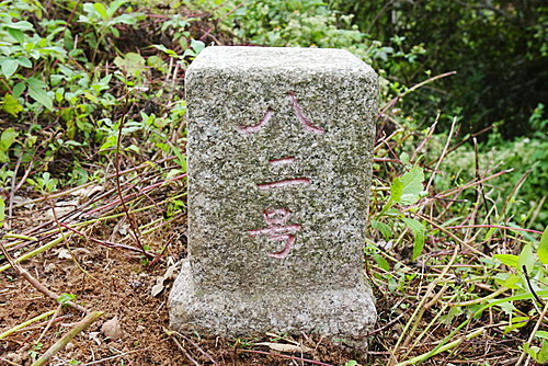 TdVSCO9KG TdVSCO9KG