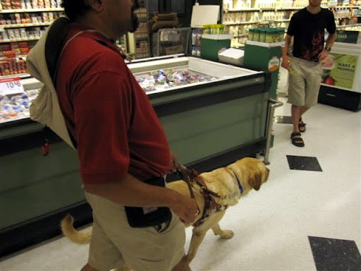 Tilden guiding smoothly around the aisles at the grocery store