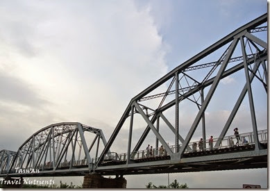 大樹舊鐵橋天空步道 (60)