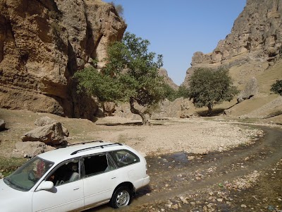 DSCN3853.jpg