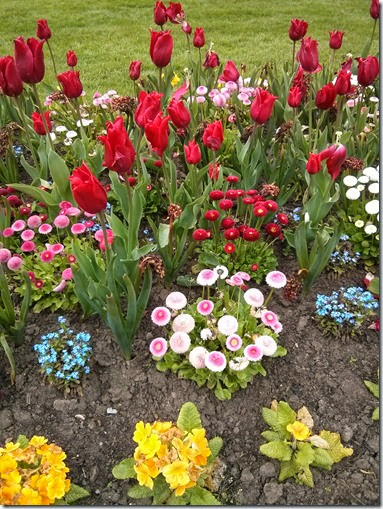 Leamington Spa Flowers