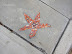 Sidewalk Art. Photo by Allison Tibaldi