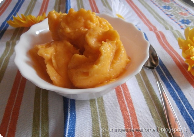 mango albicocca apricot gelato sorbetto senza latte senza uova senza gelatiera sorbet ice-cream mango albicocca apricot gelato sorbetto senza latte senza uova senza gelatiera sorbet ice-cream