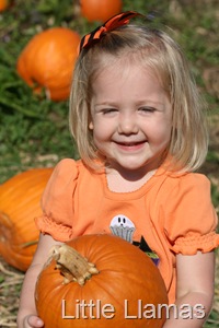 [IMG_0958%255B4%255D.jpg]