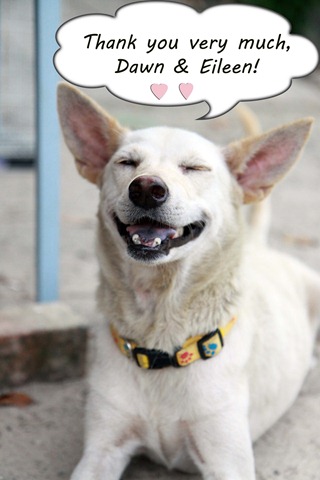 [IMG_0183%255B4%255D.jpg]