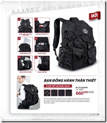 Catalog19-95