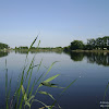 dsc03579.jpg