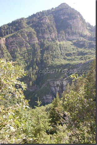 DSC_0969 DSC_0969